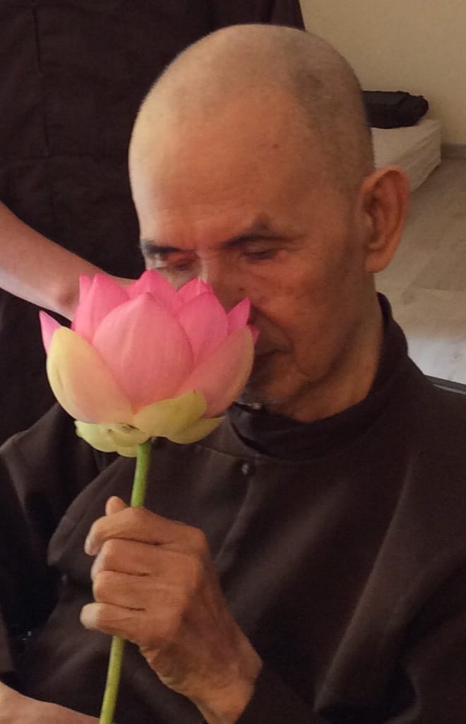 Thay 2015 June Lotus 2