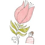 What Is Beginner’s Mind?