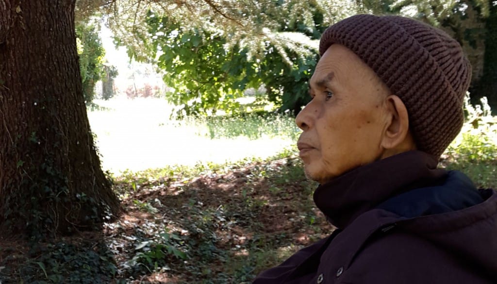 thich nhat hanh, that, usa, health, stroke, rehabilitation, recovery, donation, fund, lion's roar, buddhism news