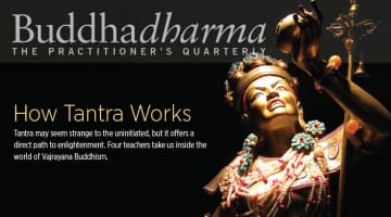 buddhadharma, fall, 2015, magazine, lion's roar