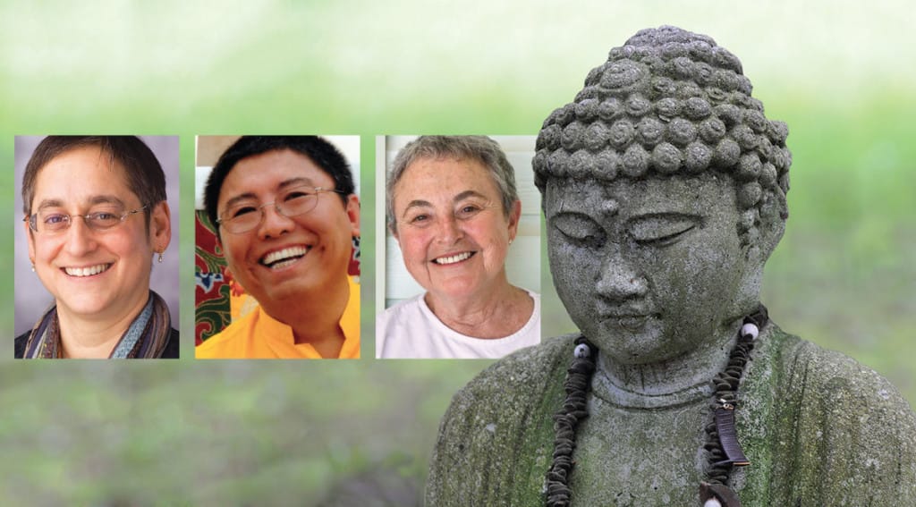 omega, buddha, waking up, sylvia boorstein, tsoknyi rinpoche, melissa myozen blacker, shambhala sun