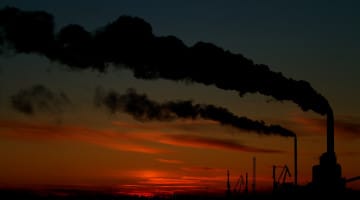 climate change, global warming, buddhism, petition, cop21, lion's roar, one earth sangha
