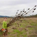 Dharma Rain on fundraising homestretch to transform former landfill