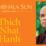 Inside the January 2016 Shambhala Sun magazine