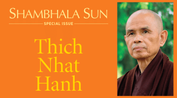 Thich Nhat Hanh, Lion's Roar, Shambhala Sun