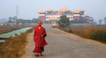 mingyur rinpoche, lion's roar, shambhala sun