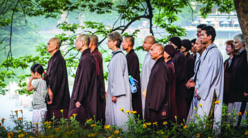 thich nhat hanh, lion's roar, shambhala sun, environment