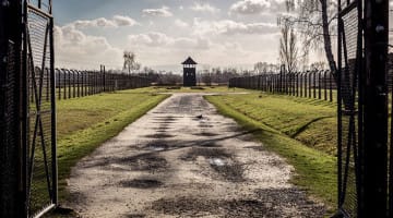 Auschwitz, Bearing Witness, Zen Peacemakers, Narayan Helen Liebenson, Lion's Roar, Buddhism