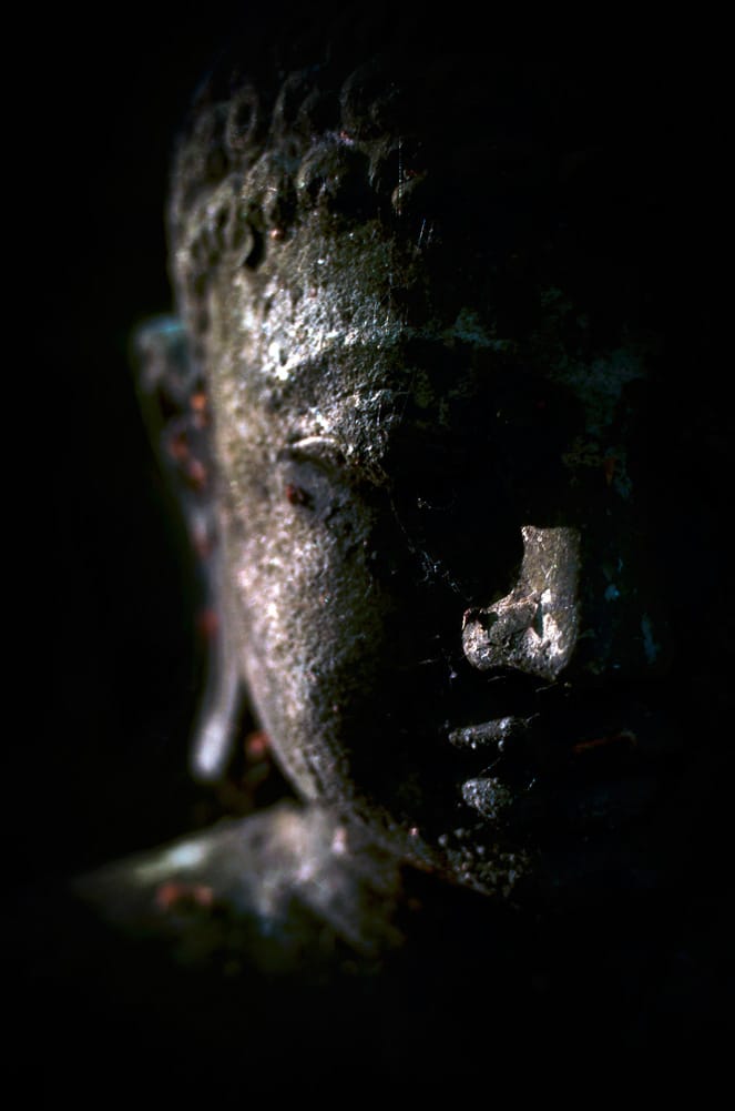 Suffering, Lion's Roar, Buddhism, Noble Truth, Buddha