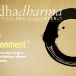 Inside the Spring 2016 Buddhadharma magazine