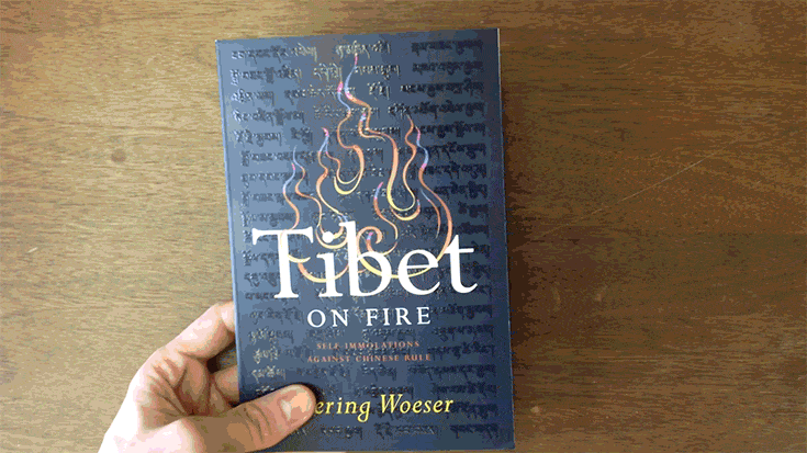 aiweiwei, Tibet on Fire, Tserin Woeser, Lion's Roar, Buddhism