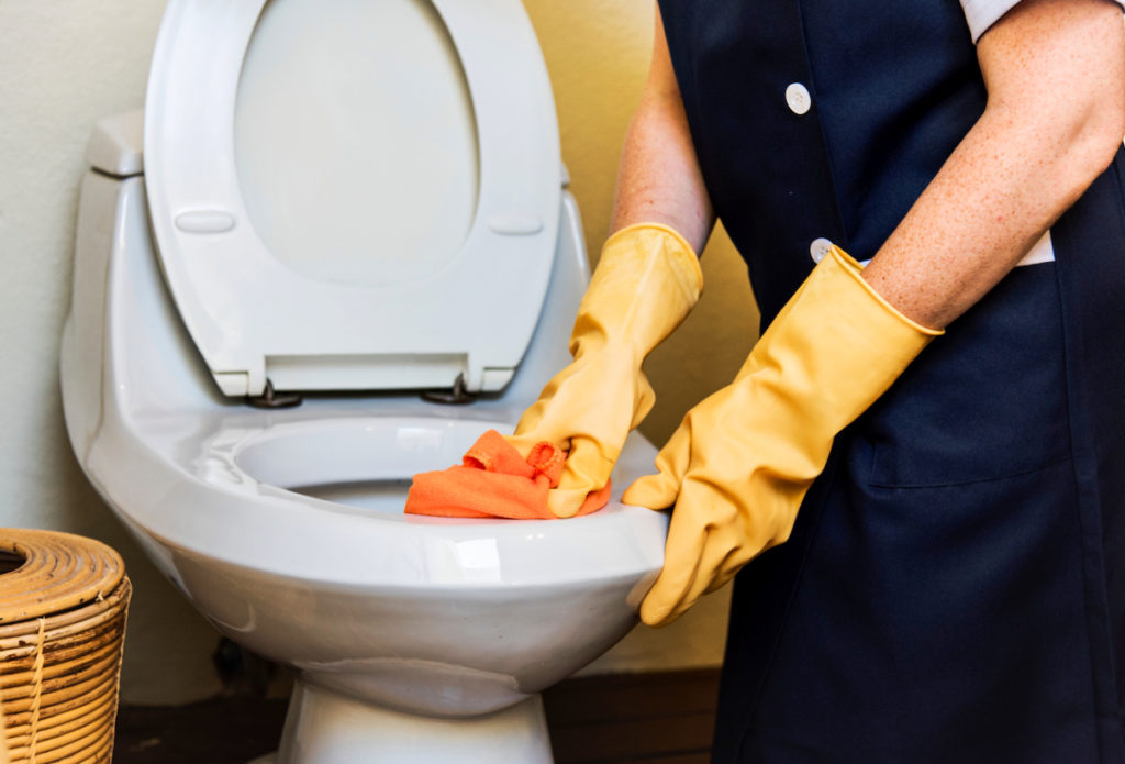 Toilet cleaning.