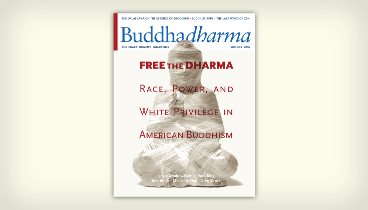 Buddhadharma Cover, "Free the Dharma."