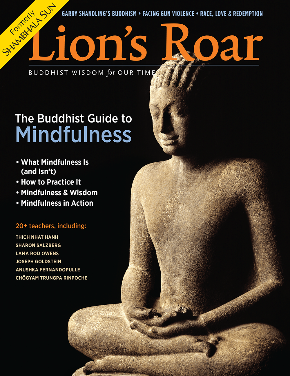 The september 2016 cover of Lion's Roar Magazine.