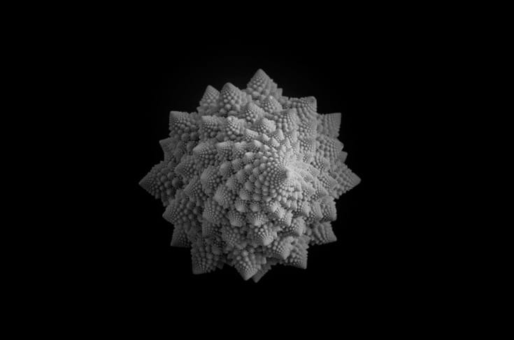 23945286355_9695d56276_o