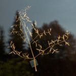 These Beautiful Photos Chronicle a Search for Light and Enlightenment