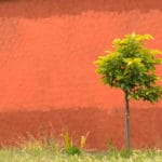 Color, texture, visual space, and harmonious forms