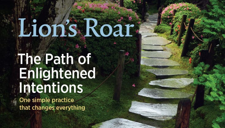 January 2016 Lion's Roar