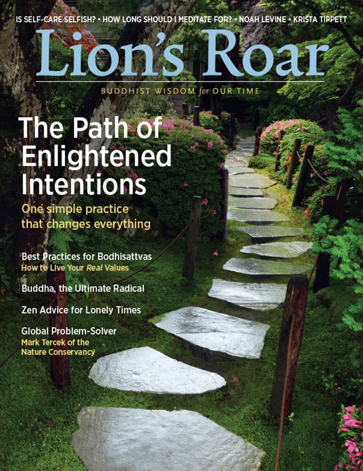 January 2016 Lion's Roar
