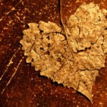Even a Broken Heart is Fundamentally Good