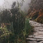 The Path to Peace Is Free of Charge