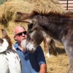 Donkey Dharma
