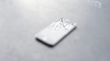 Phone reflecting tree branches.
