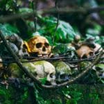 Study suggests Tibetan Buddhist monastics have an above-average fear of death