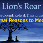 Inside the July 2018 Lion’s Roar magazine
