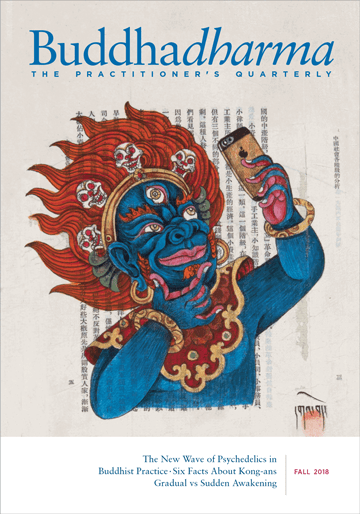 Buddhadharma fall 2018 magazine cover.
