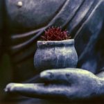 Listening Deeply for Peace