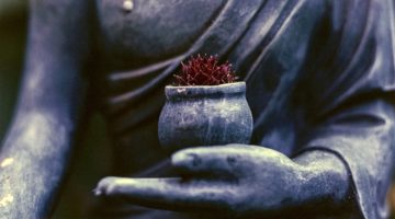 Buddha holding a flower