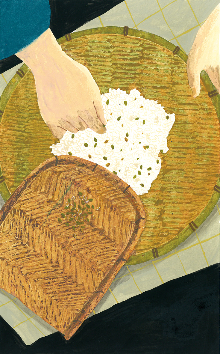 Illustration of person sorting rice