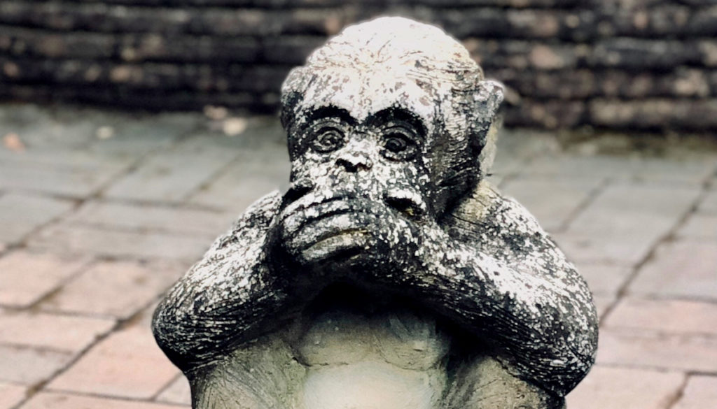 speak no evil monkey