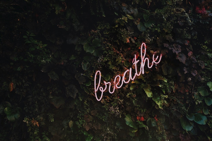 Pink neon lights that say "breathe" over a bush.