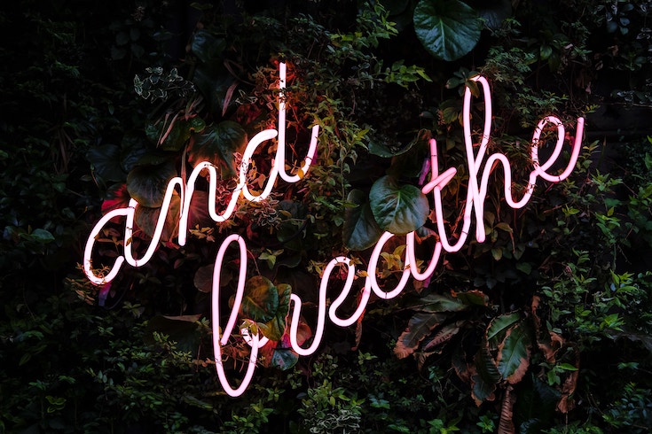 A photo of neon lights on bushes that read "and breathe."