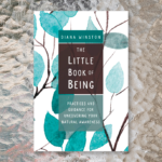 Review: The Little Book of Being