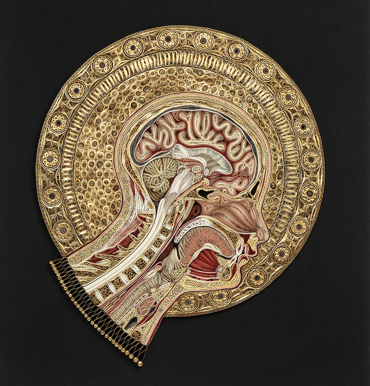 Painting of a skull with a gold foil around it.