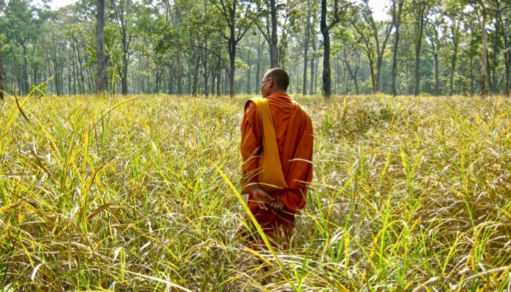 A monk standing in a field