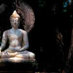 Glimpses of Awakening
