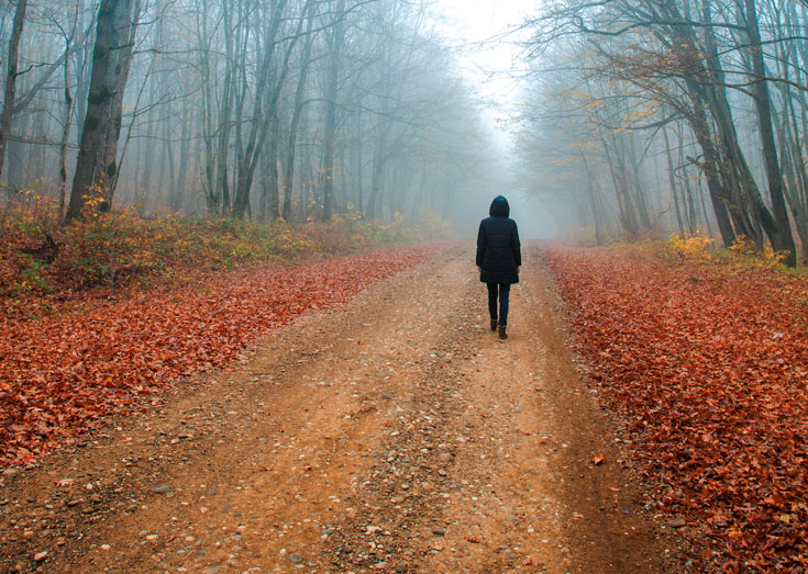 A woman walks down the road. Red leaves cover the sides of the path, and trees line the path.