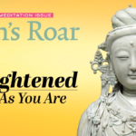 Inside the March 2020 issue of Lion’s Roar magazine