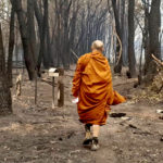 Bushfires threaten Buddhist communities in Australia