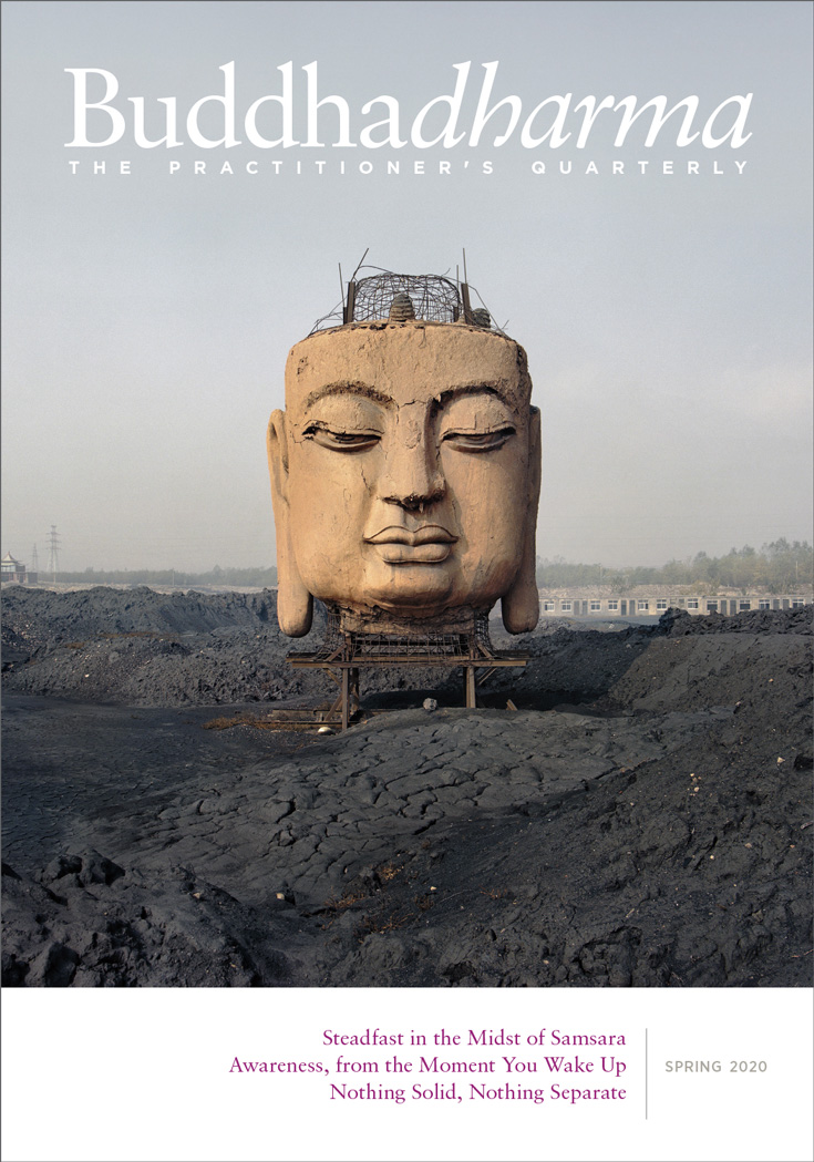 Photo of Buddhadharma Spring 2020 cover.