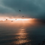 Exhaling into a Brighter Future