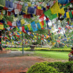 Where the Buddha’s Lessons Began