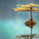 Lessons in Loneliness