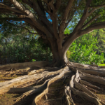 Becoming the Ally of All Beings