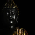 The Progressive Buddha