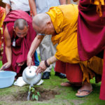 We Need a Revolution of Compassion
